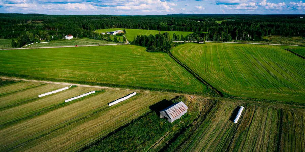 Estudios de suelos agrícolas en Girona