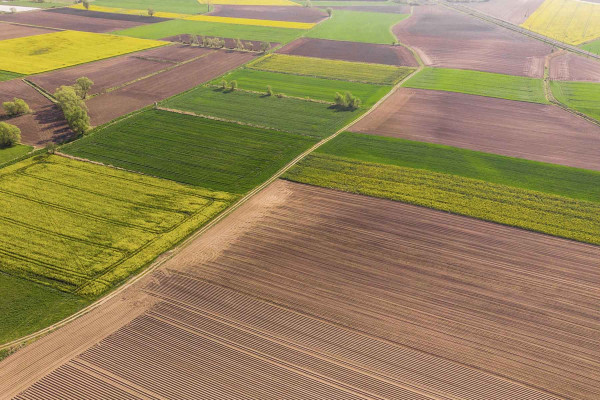 Estudios Edafológicos · Ingenieros Geotécnicos y Geofísicos Hortes